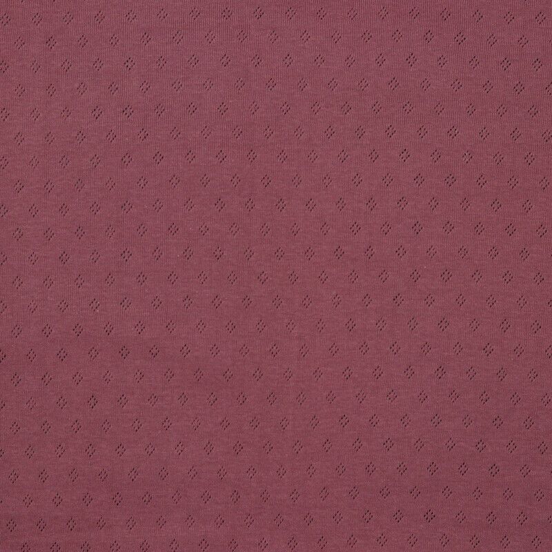 Pointelle  Mauve
